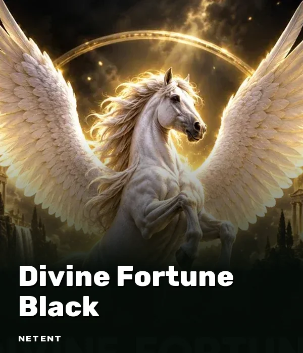 Divine Fortune Black