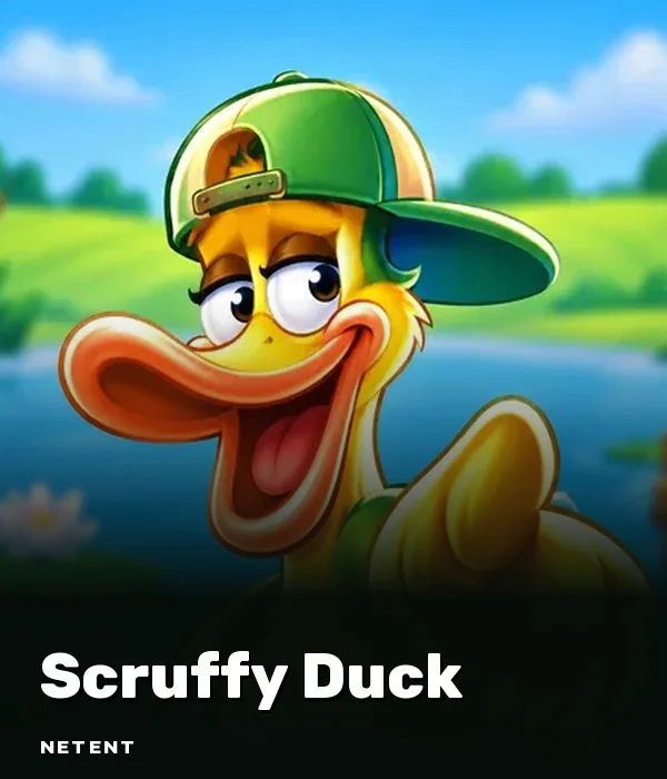 Scruffy Duck