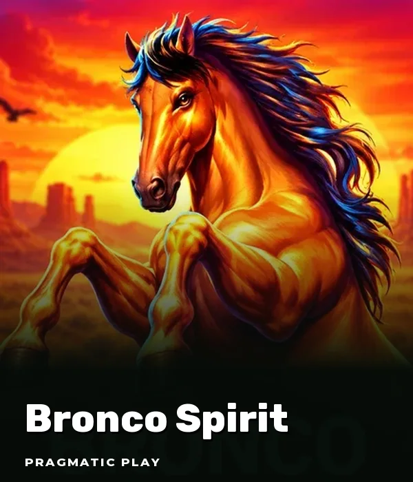 Bronco Spirit