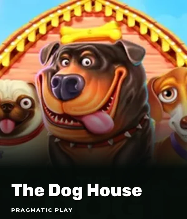 The Dog House