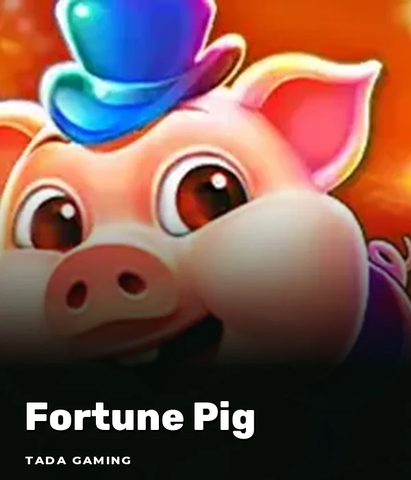 Fortune Pig